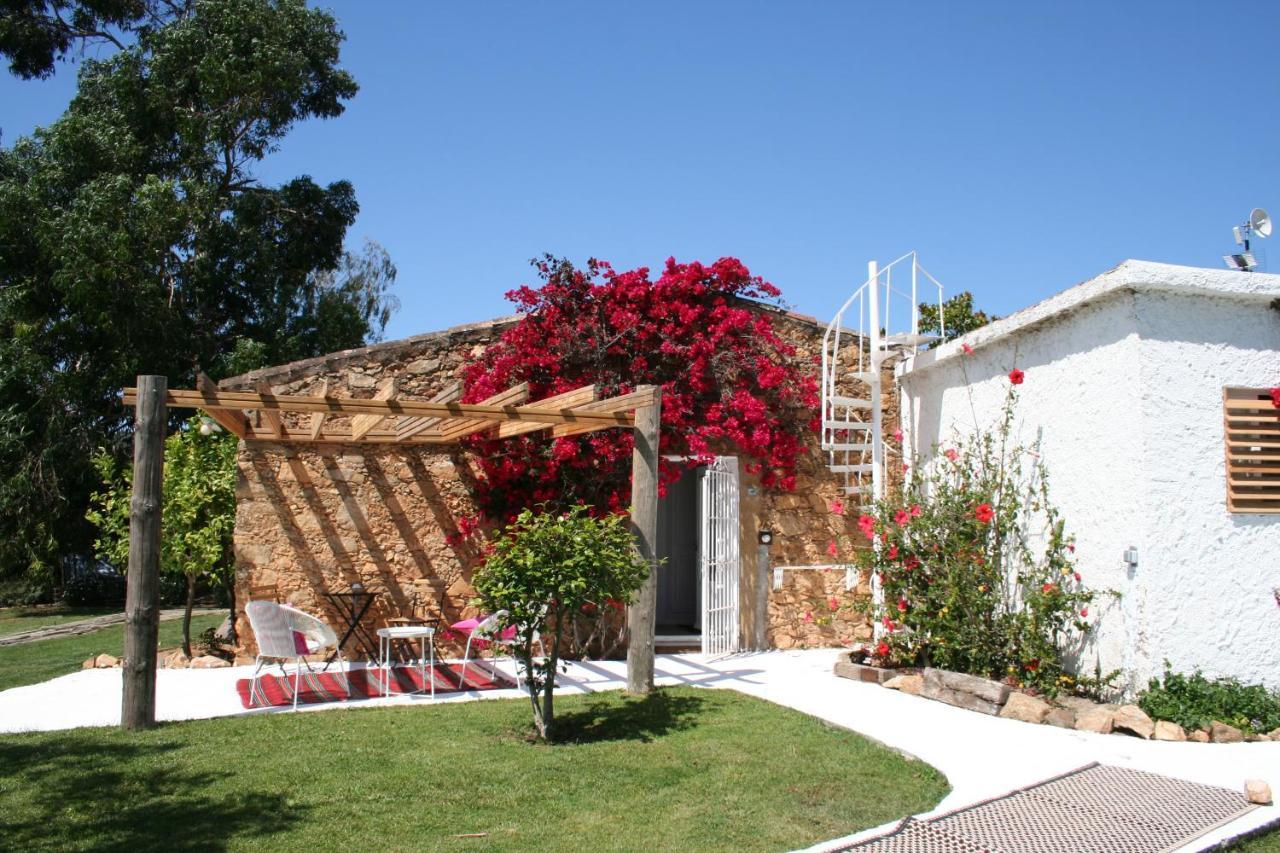 Le Rondini Bed & Breakfast Montras Bagian luar foto