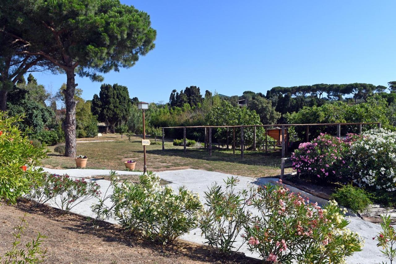Le Rondini Bed & Breakfast Montras Bagian luar foto